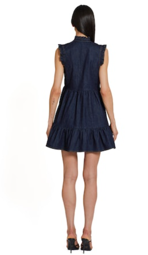 Alcott Denim Dress