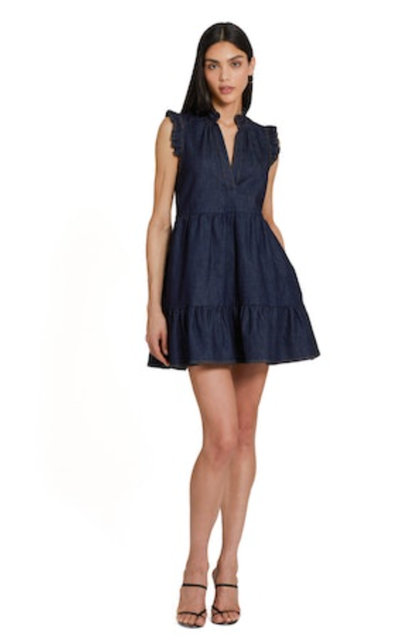 Alcott Denim Dress