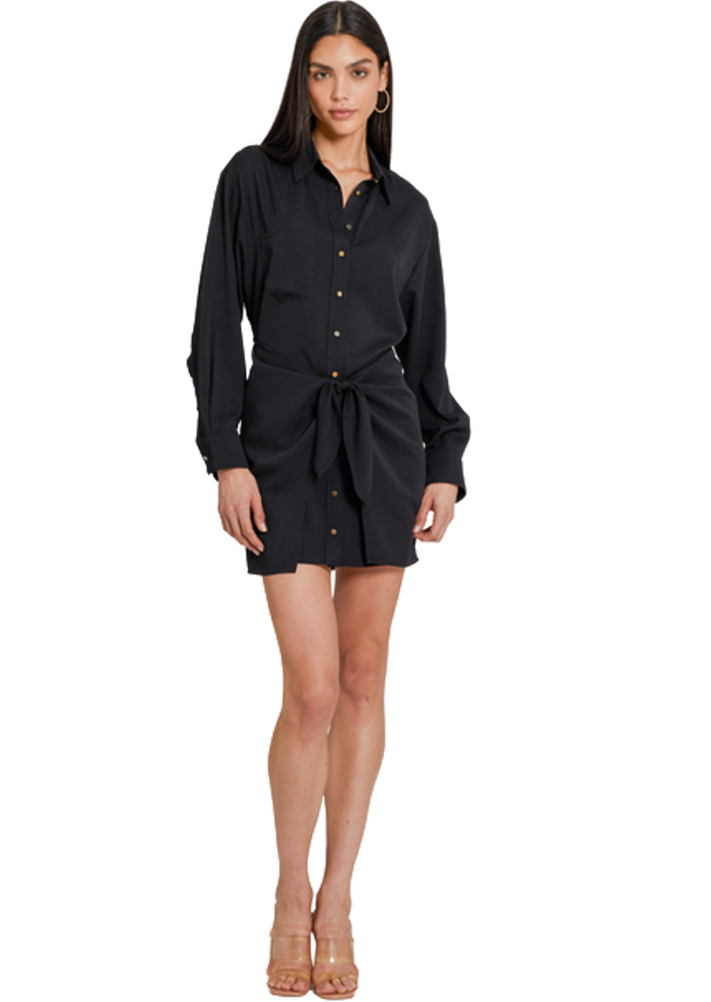 Long Sleeve Lindy Dress